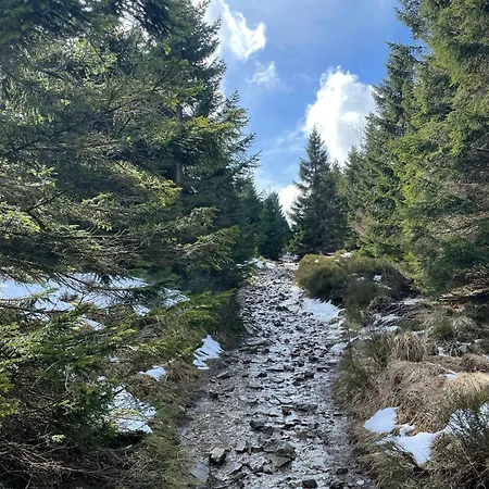 Beletage باد هازبرغ